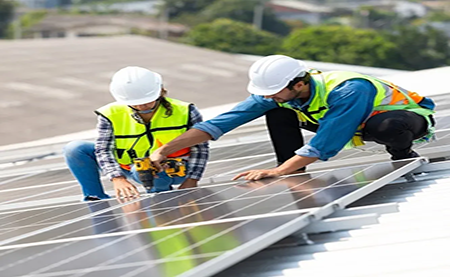 速看，這所2W人高校如何利用暑期，快速搭建綠色校園